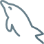 Hatay Soft | MySql